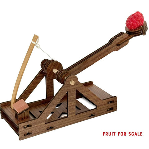 Make A Mini Catapult - DIY Model Kit