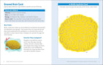 Marine Biology Activities for Kids
