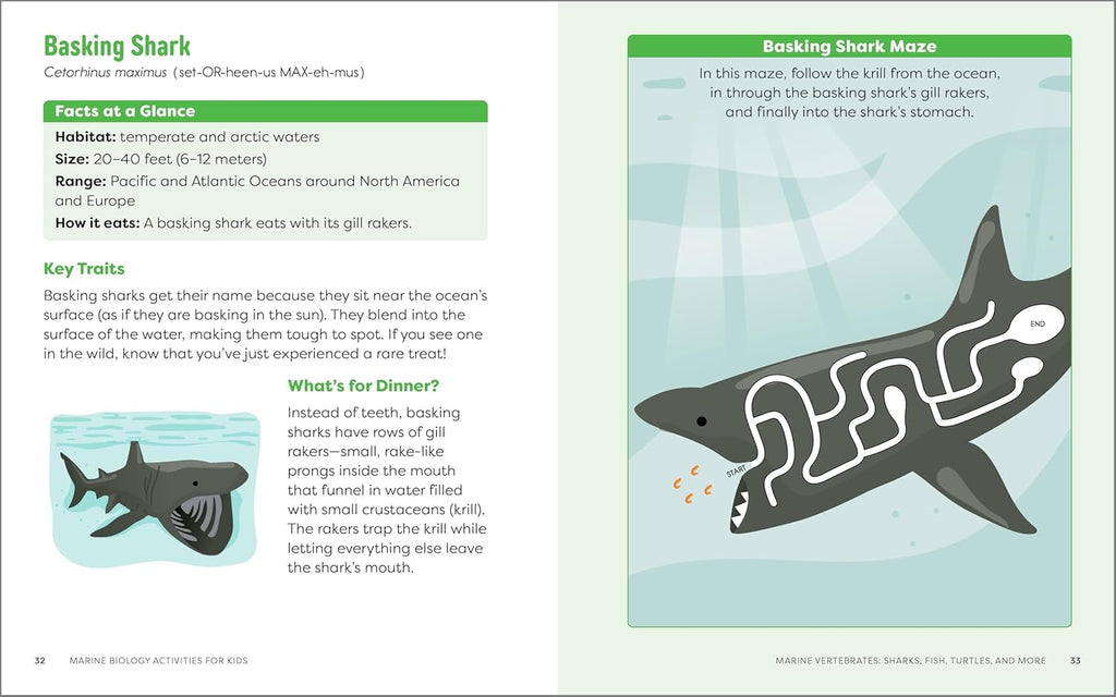 Marine Biology Activities for Kids
