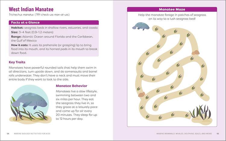 Marine Biology Activities for Kids