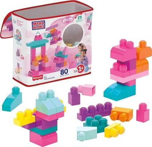 Mega Bloks First Builders Big Building Bag