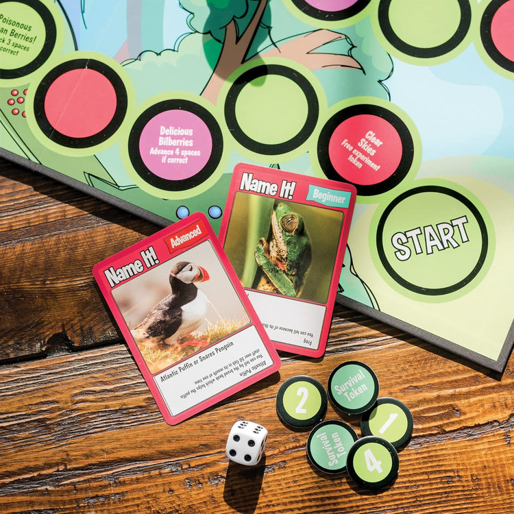 MindWare Animal Trivia Challenge Game