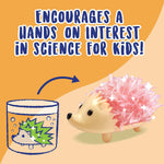 MindWare Crystal Growing Kits: Hedgehogs Bright Colors Set
