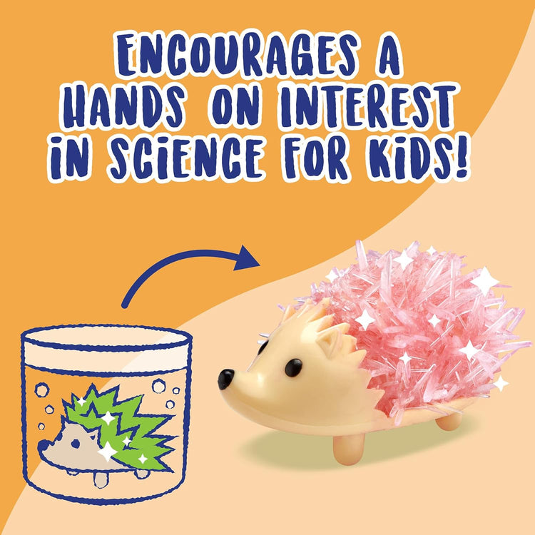 MindWare Crystal Growing Kits: Hedgehogs Bright Colors Set
