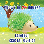 MindWare Crystal Growing Kits: Hedgehogs Bright Colors Set