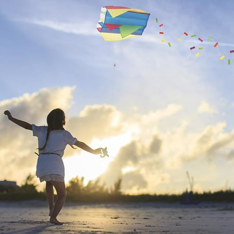 Miniature Pocket Kite
