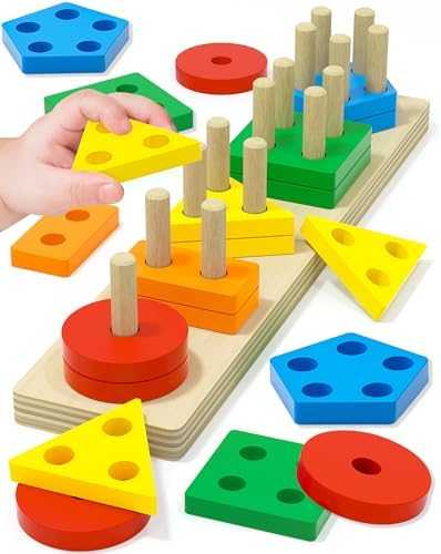 Wooden Montessori Shape Sorter Puzzle