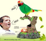 PowerTRC Talking Parrot Toy