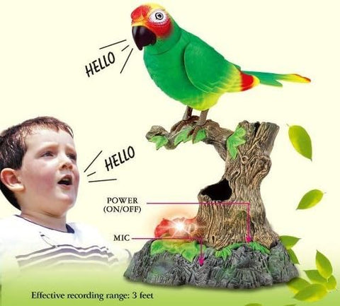 PowerTRC Talking Parrot Toy