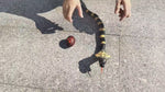 Slithering Snake - Realistic Remote Scare Fun