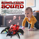 Remote Control Spider Toy