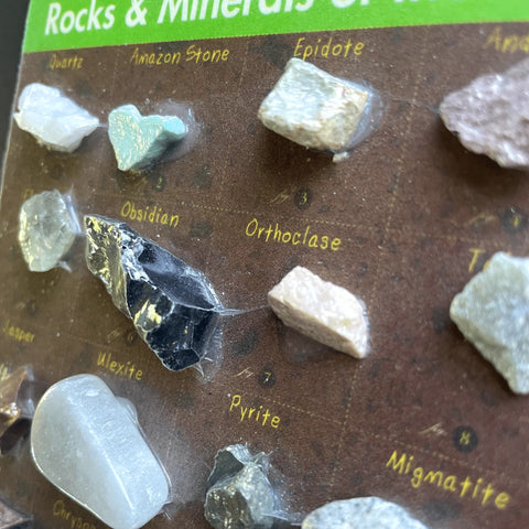 Rocks of the USA - Hand-Sized Rock Collection