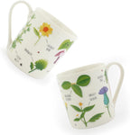 Rude Plants Mug - Ridiculously Rude Names for Gardeners