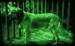 SpyX Night Hawk Scope - Real Infrared Night Vision
