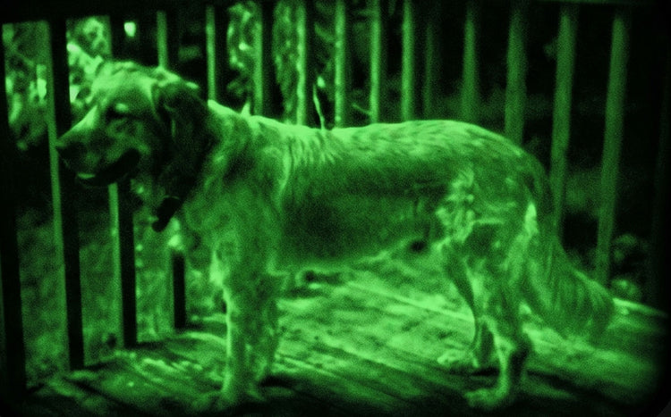 SpyX Night Hawk Scope - Real Infrared Night Vision