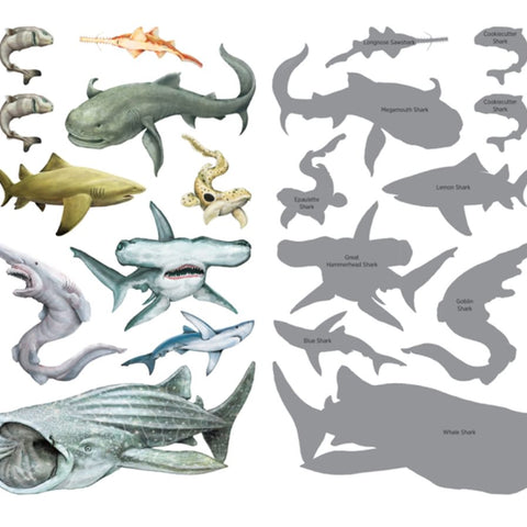 Sharks Tattoos - 50 Temporary Tattoos