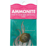 Copernicus Small Ammonite - Real Fossil from Ancient Seas
