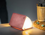 Smart Book Light - Blush Pink