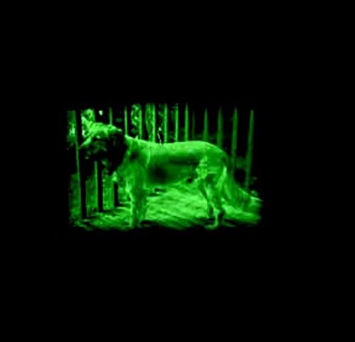 SpyX Night Hawk Scope