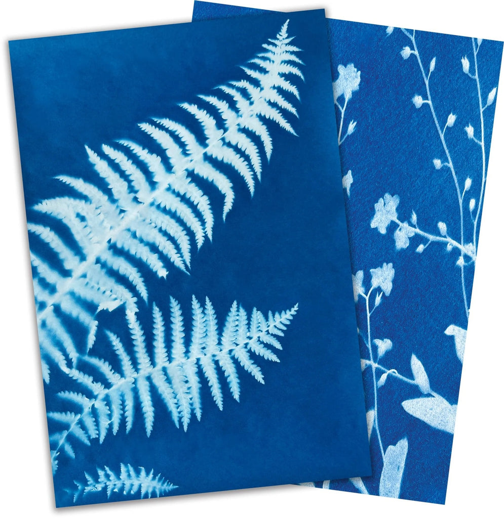 Sun Snap Photo Paper - Create Sun-Powered Art Prints