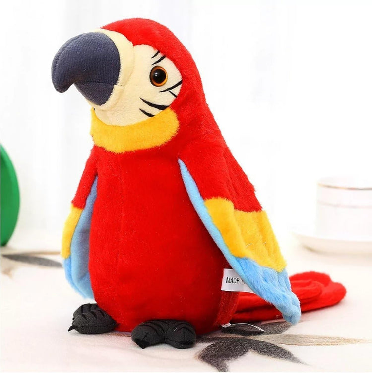 Talking Parrot No Matter What You Say Will Repeat What You Say