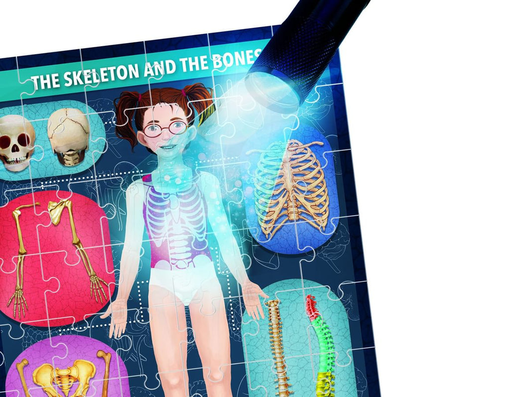 The Human Body - Under X-Ray
