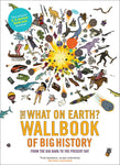 The What on Earth? Wallbook of Big History