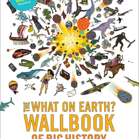 The What on Earth? Wallbook of Big History