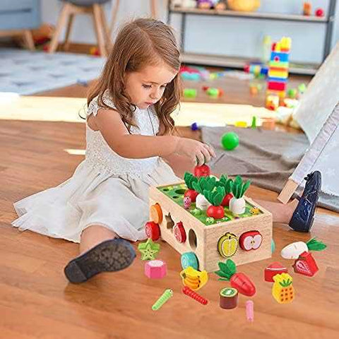 Montessori Wooden Shape Sorter & Fine Motor Toy