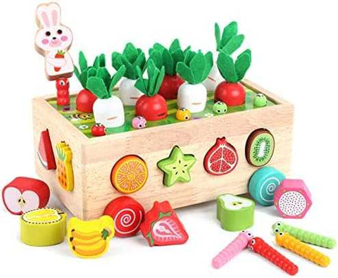 Montessori Wooden Shape Sorter & Fine Motor Toy
