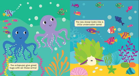Sea Magic Water Book - Just Add Water by Buddy & Barney