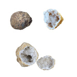 Whole Geode - Crack Open a Crystal-Filled Surprise