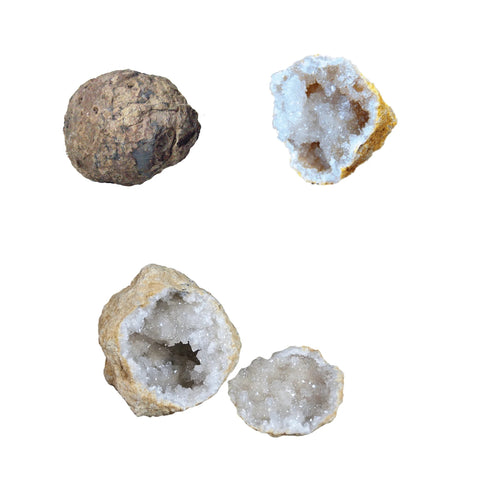 Whole Geode - Crack Open a Crystal-Filled Surprise